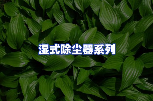 湿式除尘器系列