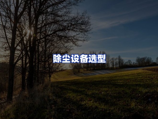 服务优势